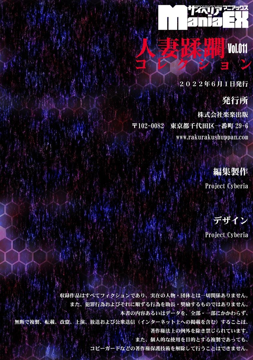Cyberia Maniacs Hitozuma Juurin Collection Vol.11 138
