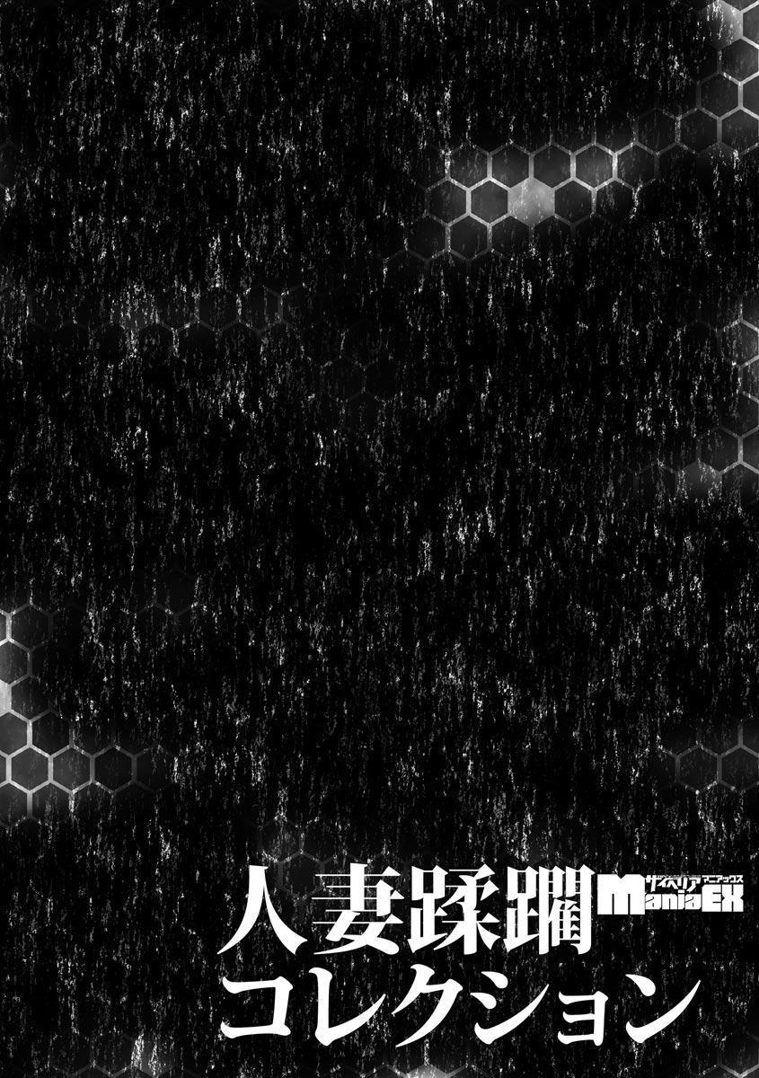 Cyberia Maniacs Hitozuma Juurin Collection Vol.11 43