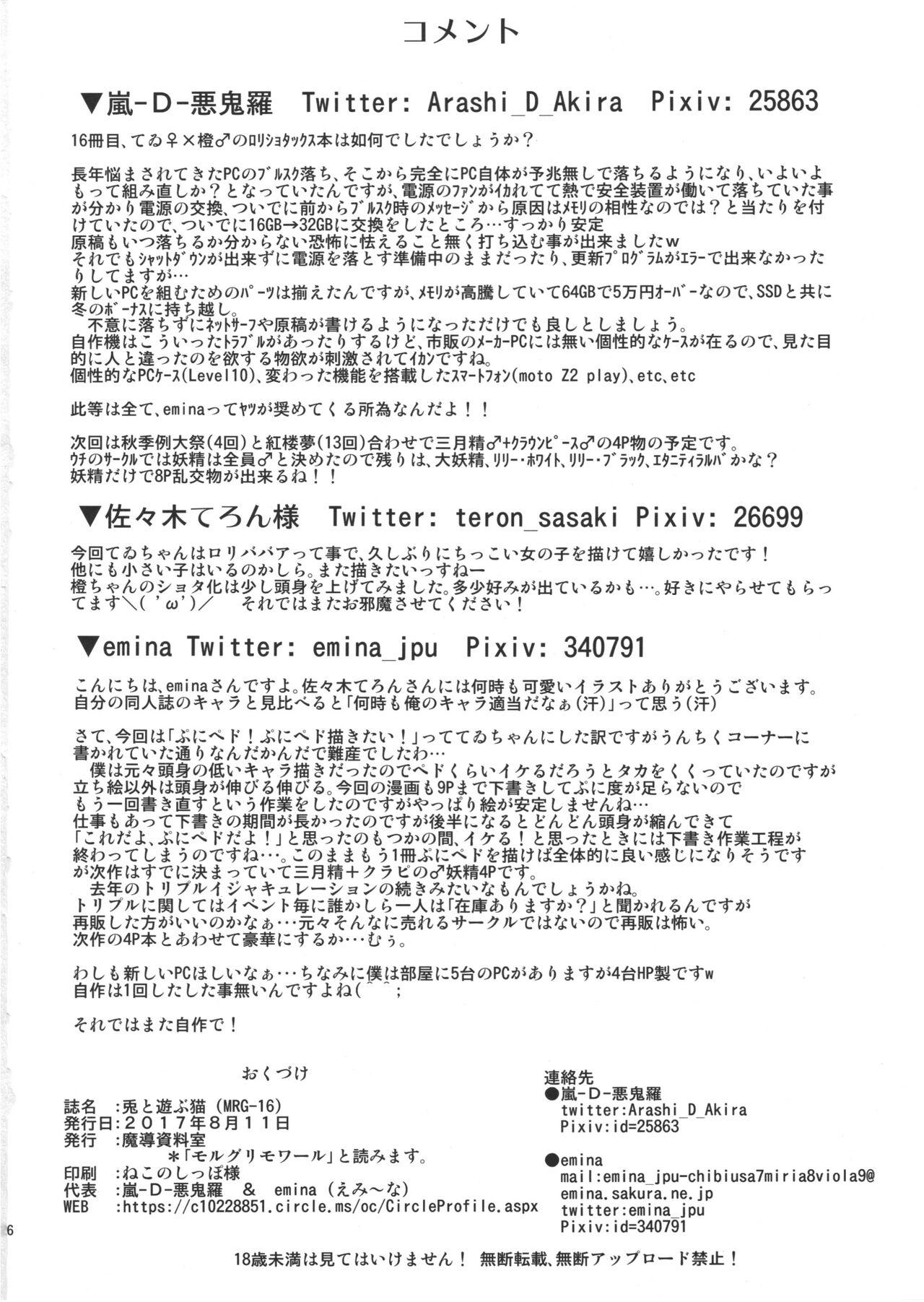 Transex Usagi to Asobu Neko - Touhou project Hidden - Page 25