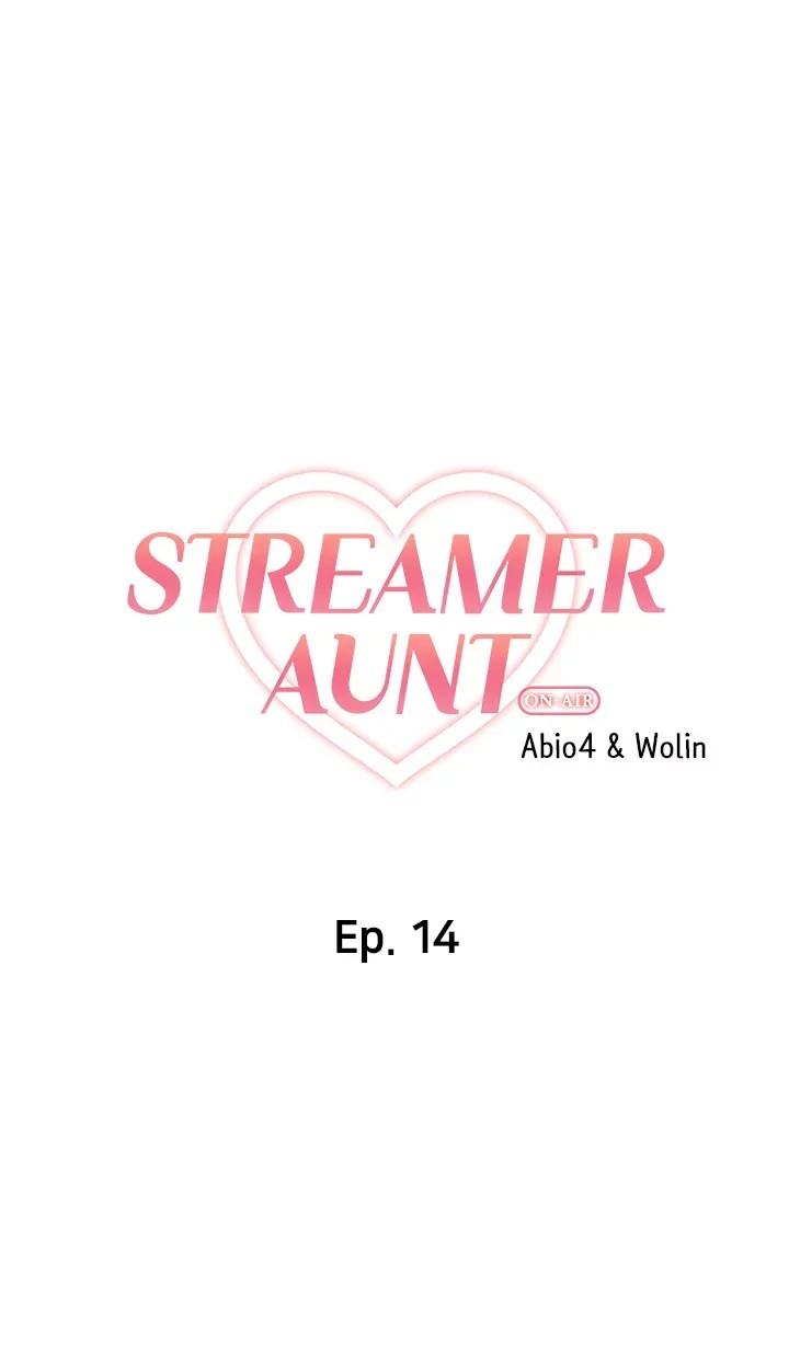 Streamer Aunt 172