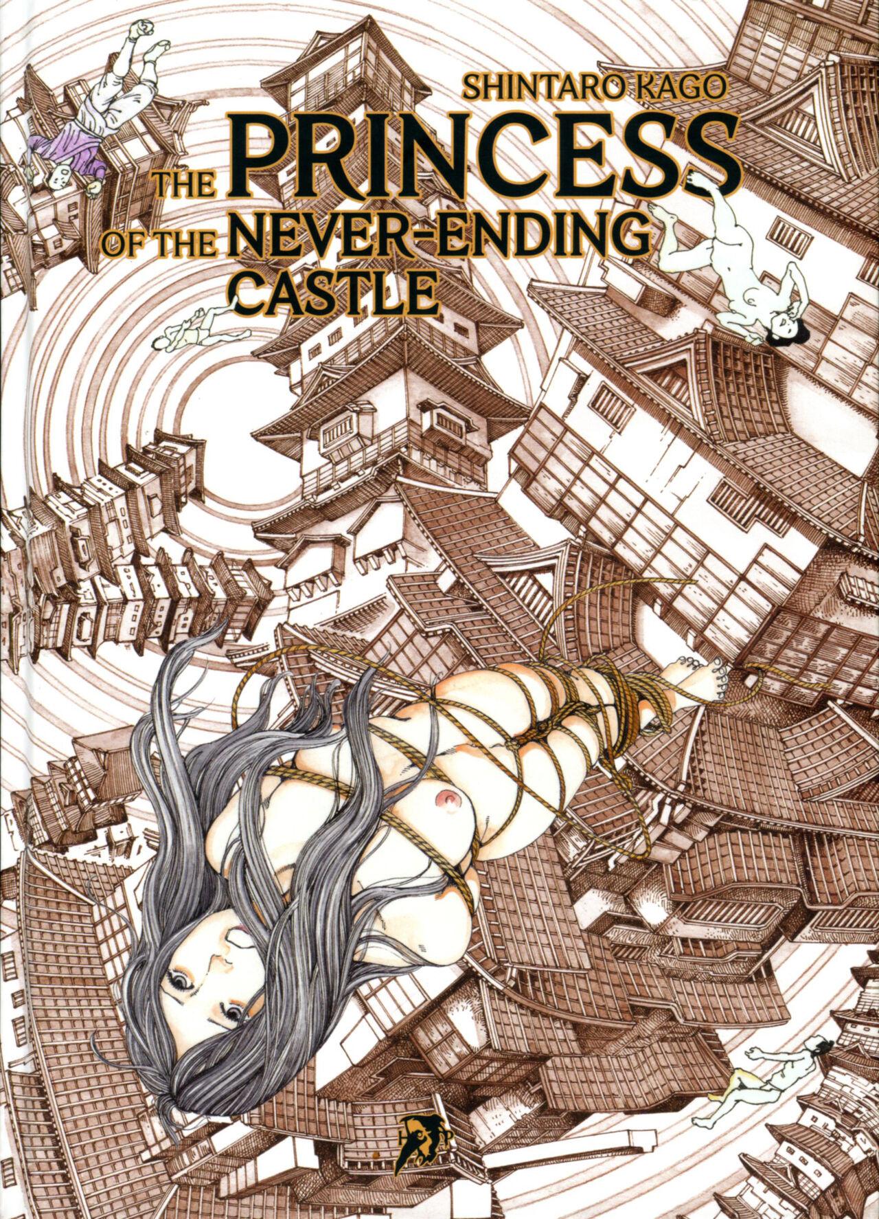 Princess of the Never Ending Castle 0