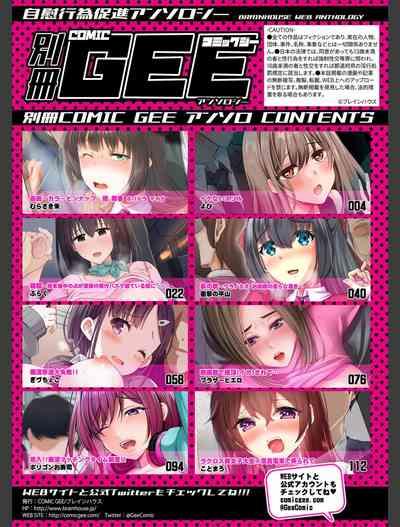 Bessatsu COMIC GEE Anthology Zettai Shicha Dame!! Chikan Genkin!! 3