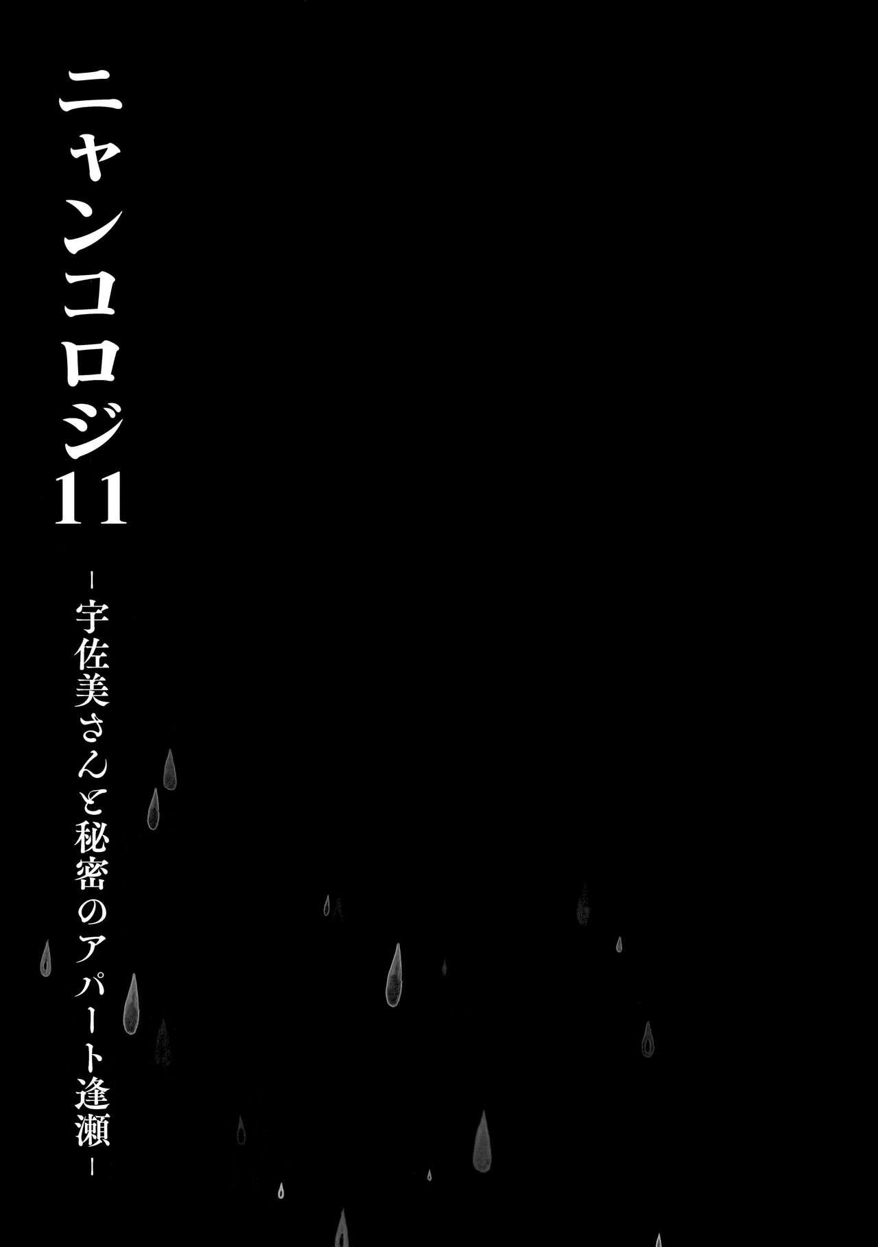 (Mega Akihabara Doujinsai 1) [Kinokonomi (konomi)] Nyancology11 -Usami-san to Himitsu no Apart Ouse- [Chinese] [绅士仓库汉化] 12
