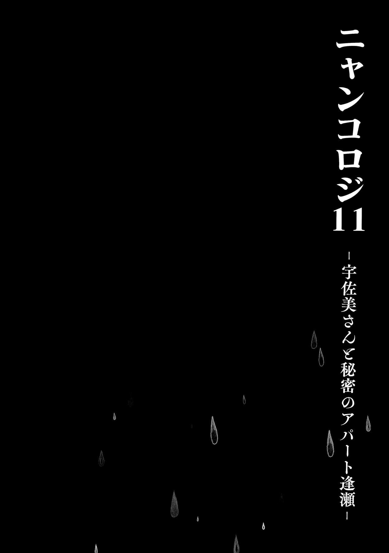 (Mega Akihabara Doujinsai 1) [Kinokonomi (konomi)] Nyancology11 -Usami-san to Himitsu no Apart Ouse- [Chinese] [绅士仓库汉化] 13