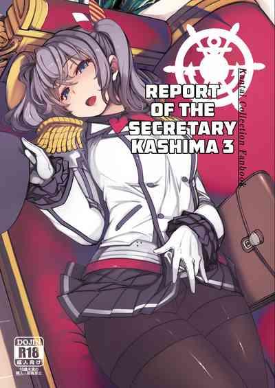 Hishokan Kashima no Houkokusho 3 | Report of the Secretary Kashima 3 1