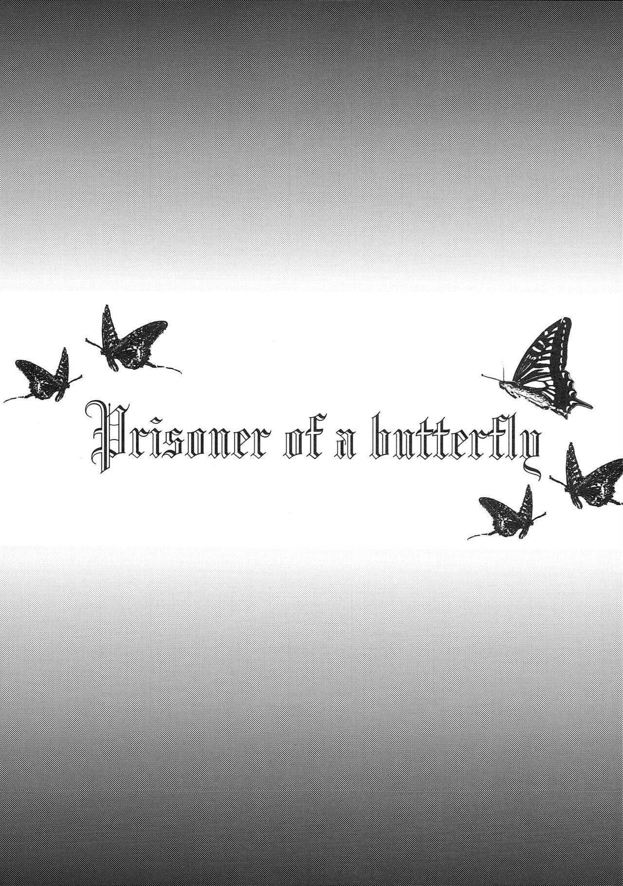 Prisoner of a Butterfly 1