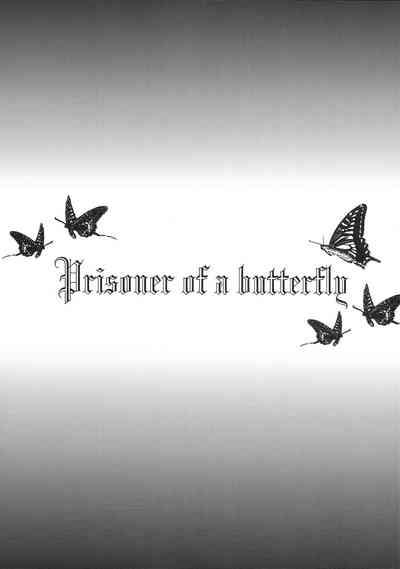 Prisoner of a Butterfly 2