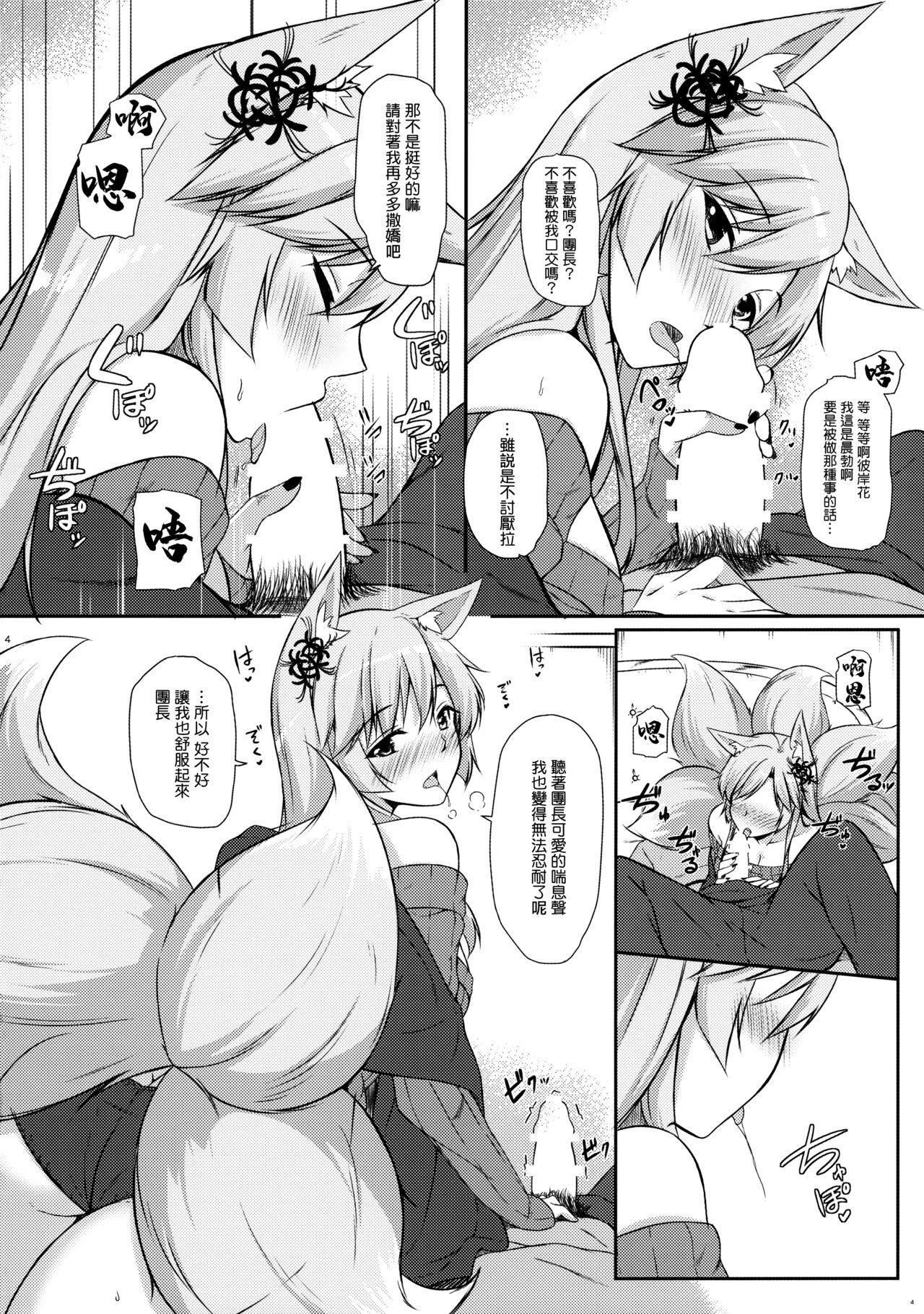 Insertion Kitsune hana - Flower knight girl Gay Pissing - Page 5