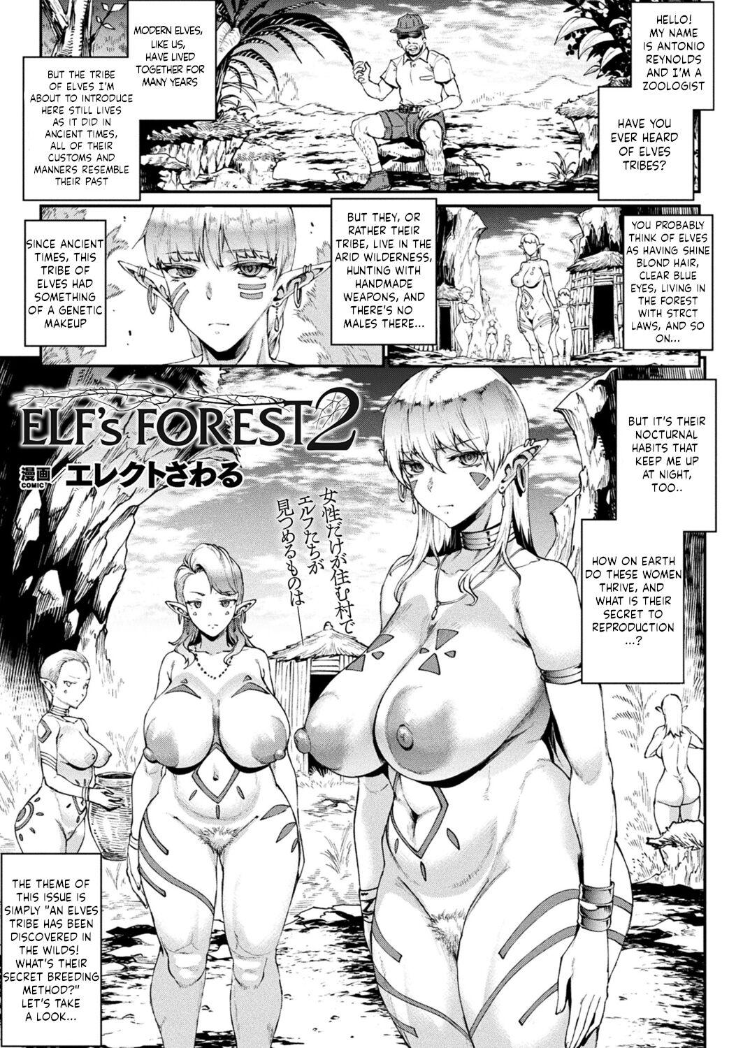 Elf's Forest 2 0