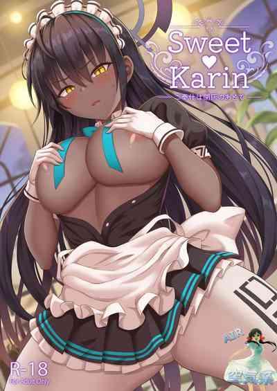 Sweet Karin 2