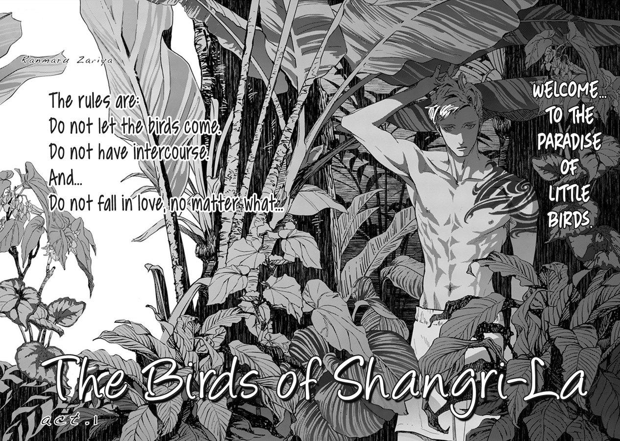 Cutie Shangri La no Tori | The Birds of Shangri-La act.1 Gay Oralsex - Page 5