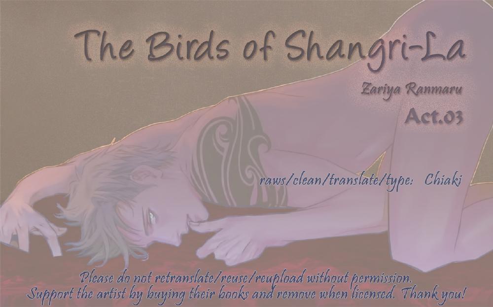 Hardcore [Zariya Ranmaru] Shangri-La no Tori act. 3 | The Birds of Shangri-La act. 3 (Shangri-La no Tori I) [English] [Chiaki] [Digital] Couple Fucking - Page 17