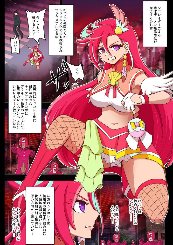 Blackdick Flamingo Last Stand - Tropical rouge precure Face Fuck - Page 3