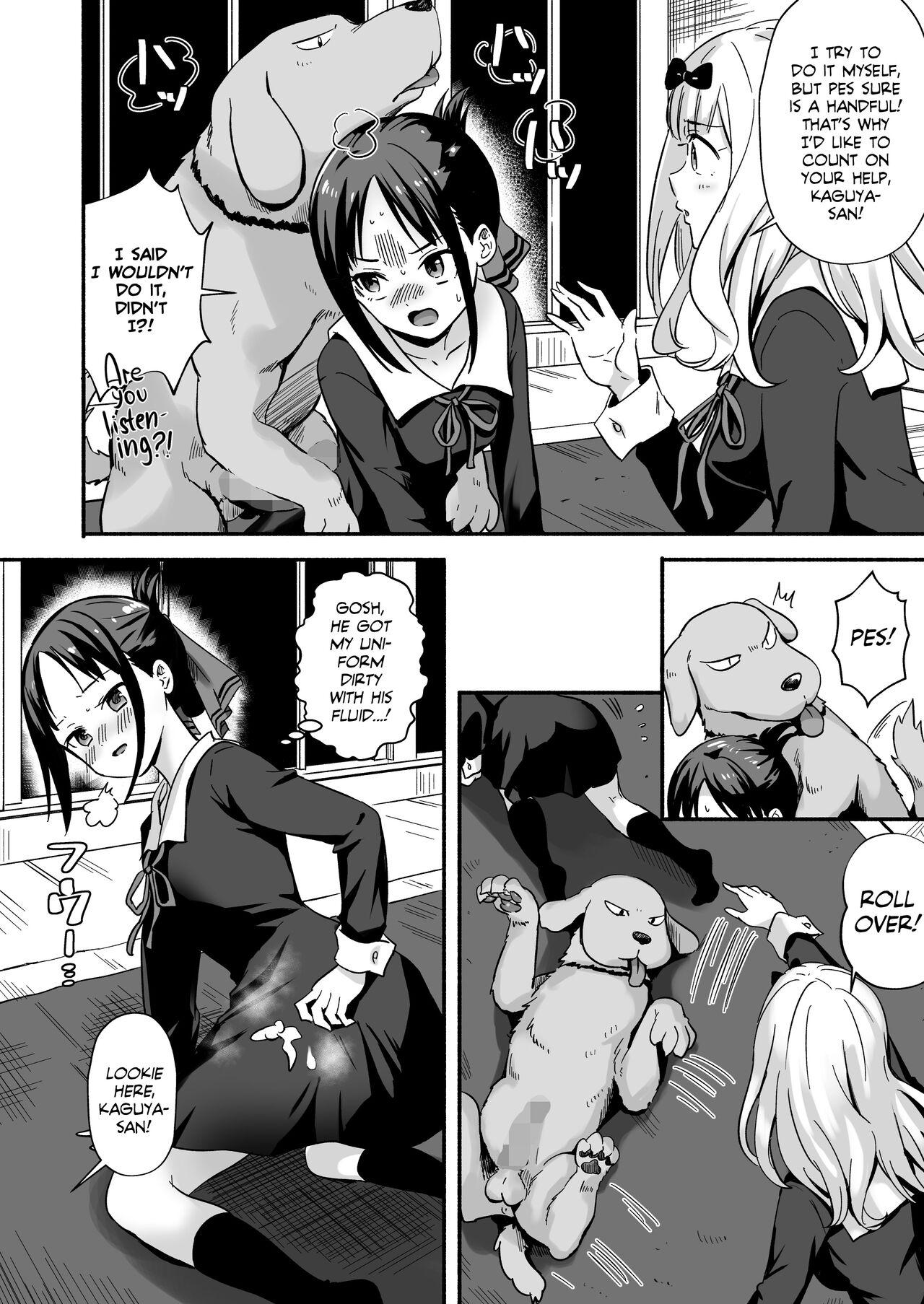 Hunk [Silver Dog] Kaguya-san Ni Pas No Seishori wo Tetsudatte itadakimashita (Kaguya-sama wa Kokurasetai) | Kaguya-san takes care of Pes's sexual urges! [English] [Team Rabu2] - Kaguya-sama wa kokurasetai | kaguya-sama love is war Amiga - Page 5