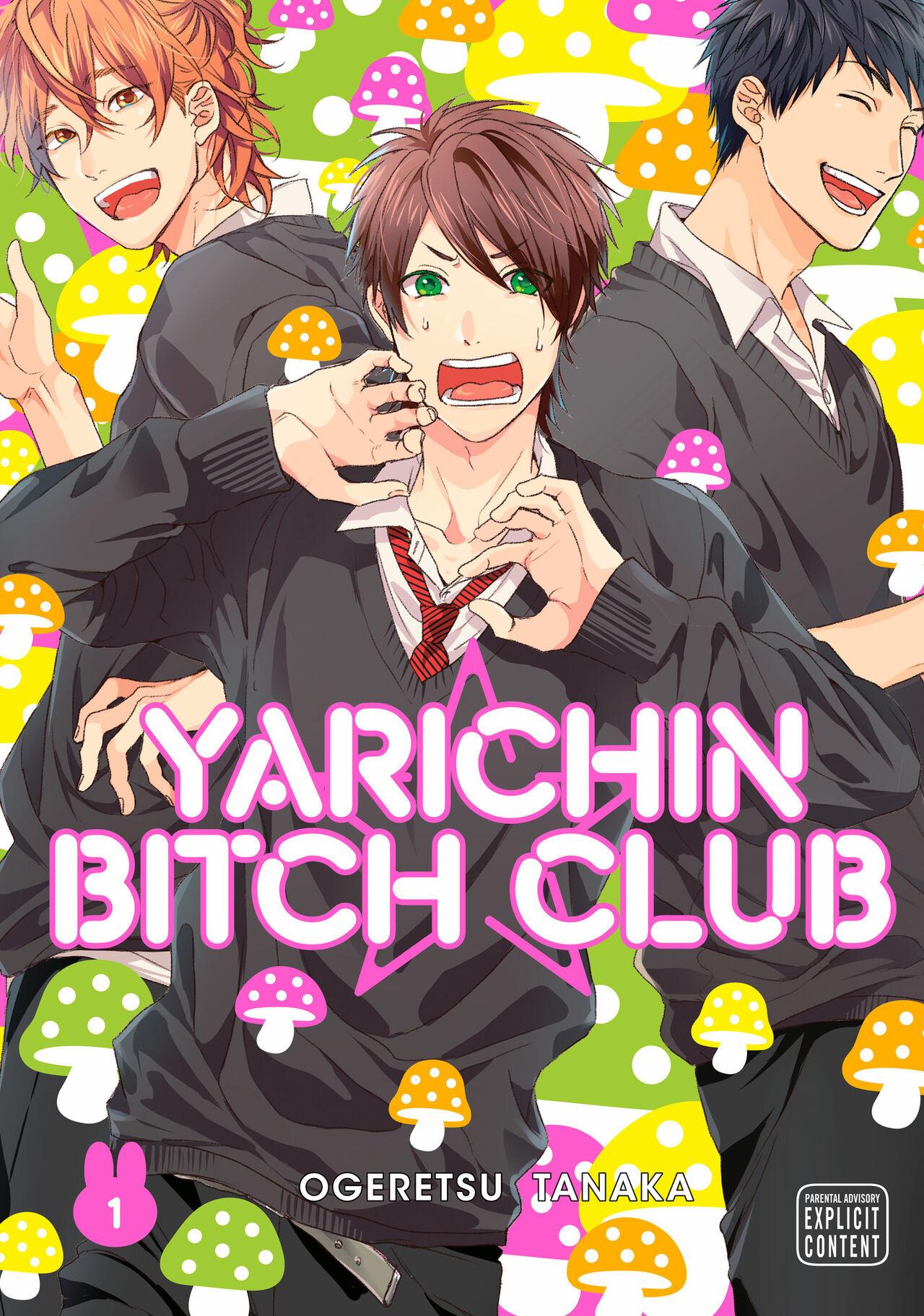 Ogeretsu Tanaka - Yarichin Bitch Club v01 0