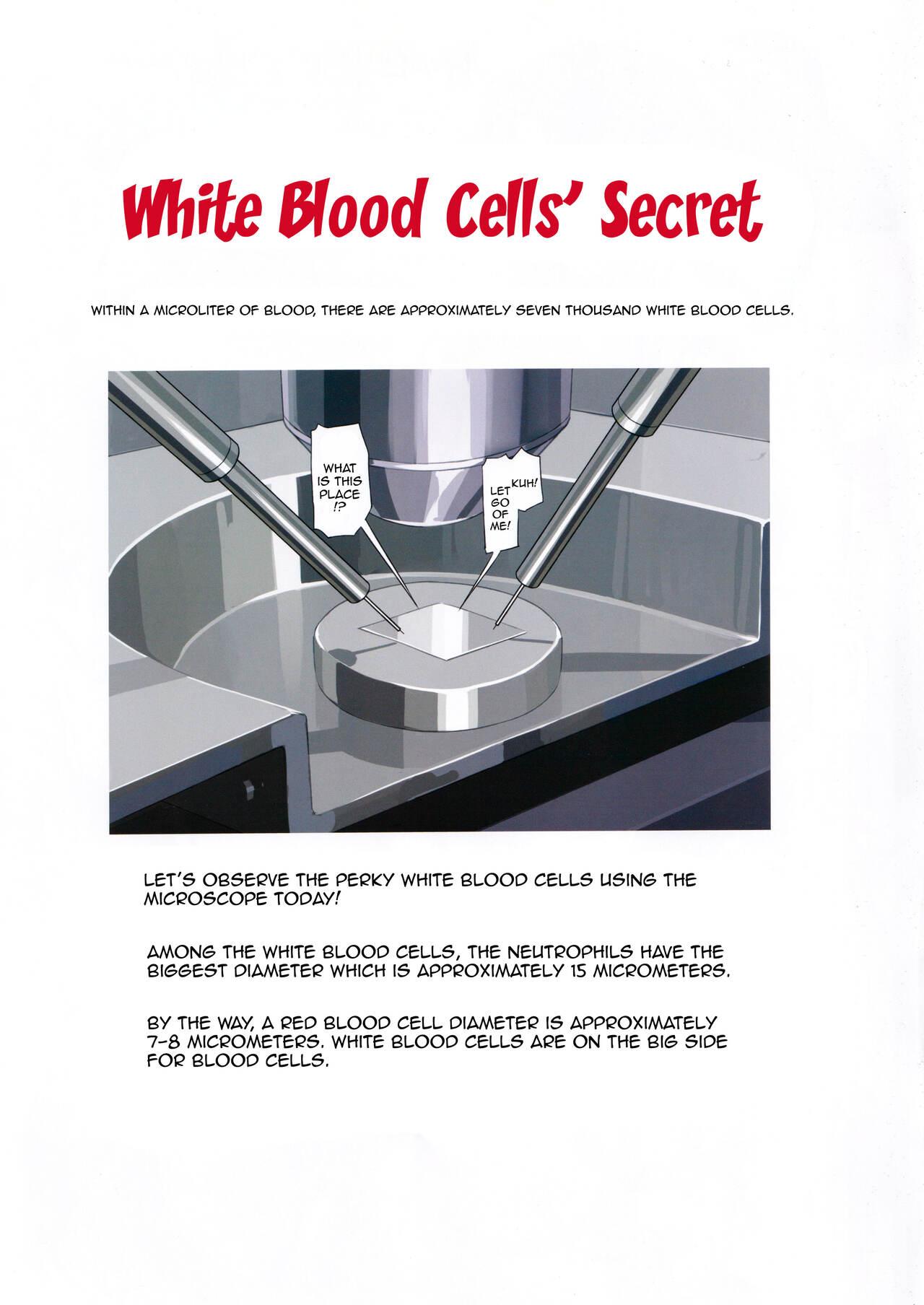 Amateur Hakkekkyu no Himitsu | White Blood Cell Secret - Hataraku saibou | cells at work Cam Girl - Page 3