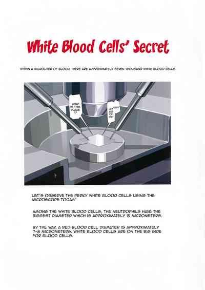 Hakkekkyu no Himitsu | White Blood Cell Secret 3
