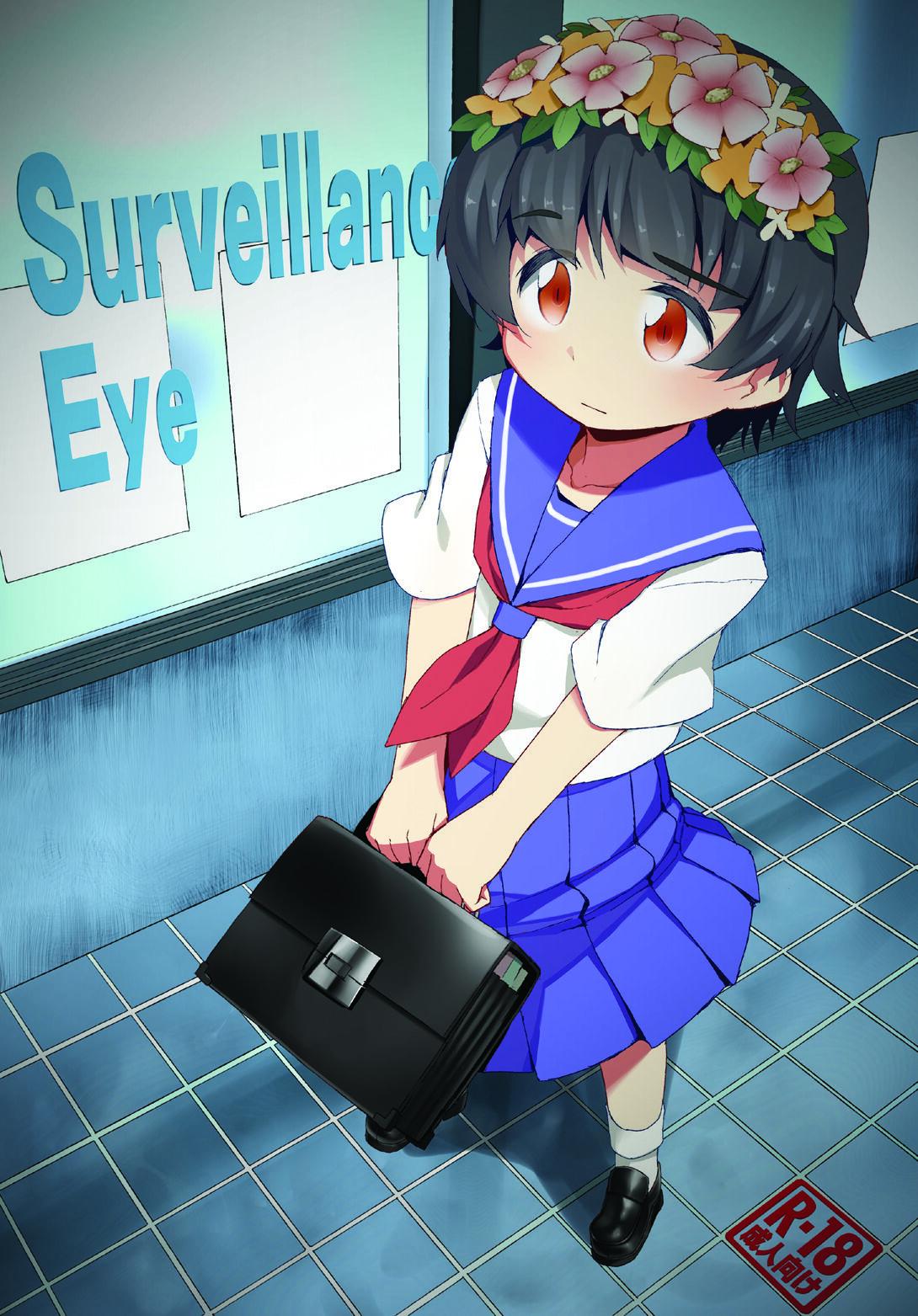 Surveillance Eye 0