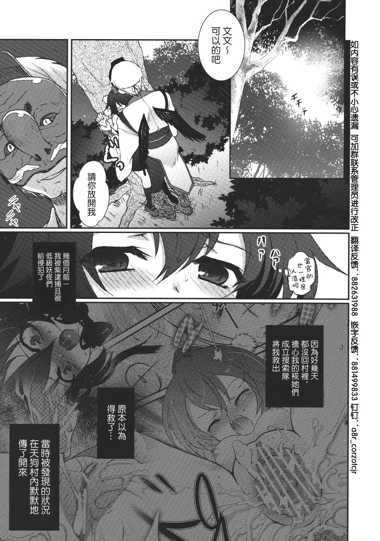 Softcore Mebius:gate - Touhou project Gay Group - Page 3
