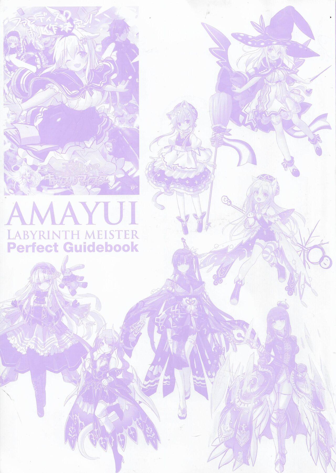 Amayui Labyrinth Meister Perfect Guidebook 259